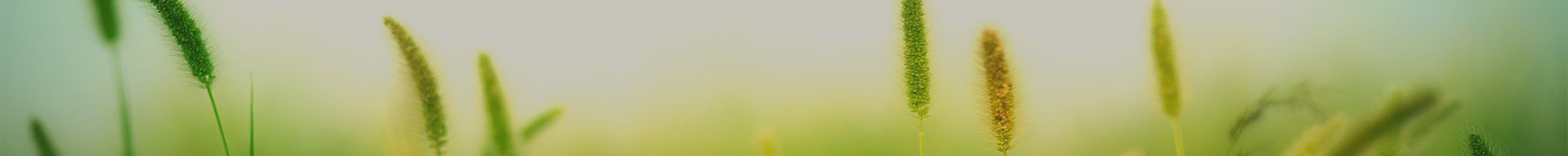 단체소개