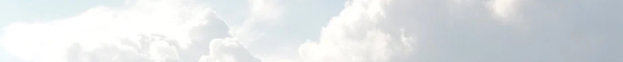 사이트맵